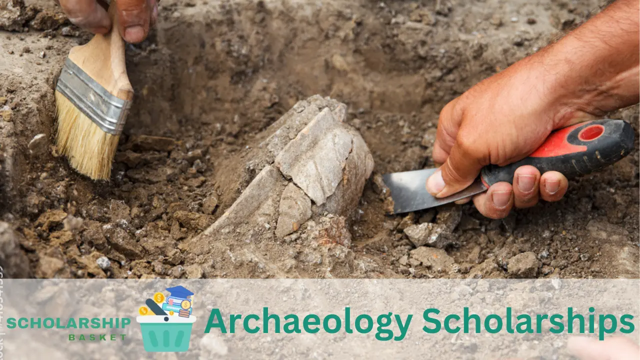 Archaeology Scholarships 2024 ScholarshipBasket