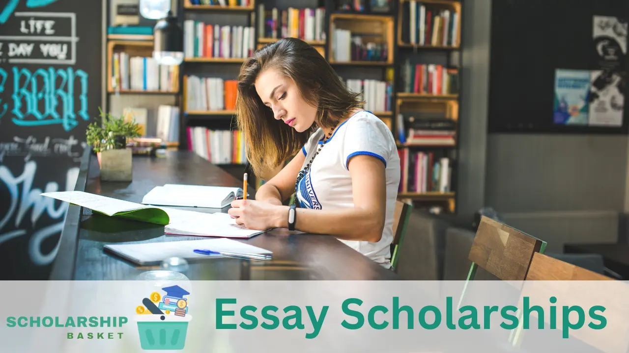 essay scholarships for 2024
