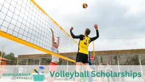 Volleyball Scholarships