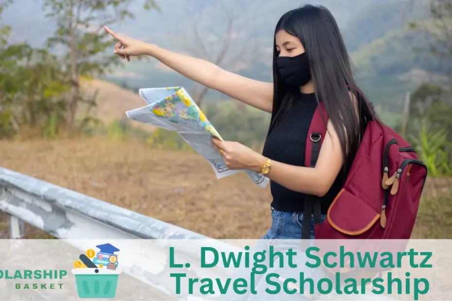 L. Dwight Schwartz Travel Scholarship