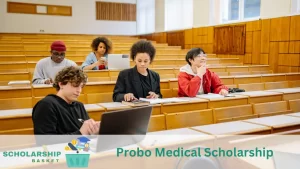 Probo Medical Scholarship
