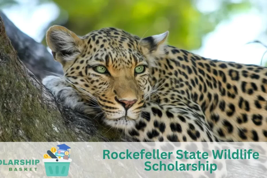 Rockefeller State Wildlife Scholarship