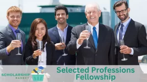 Selected Professions Fellowship