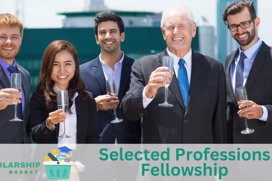 Selected Professions Fellowship