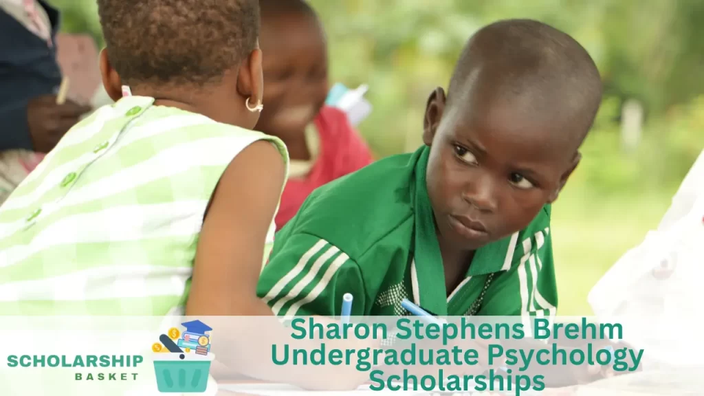 Sharon Stephens Brehm Undergraduate Psychology Scholarships