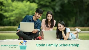 Stein Family Scholarship