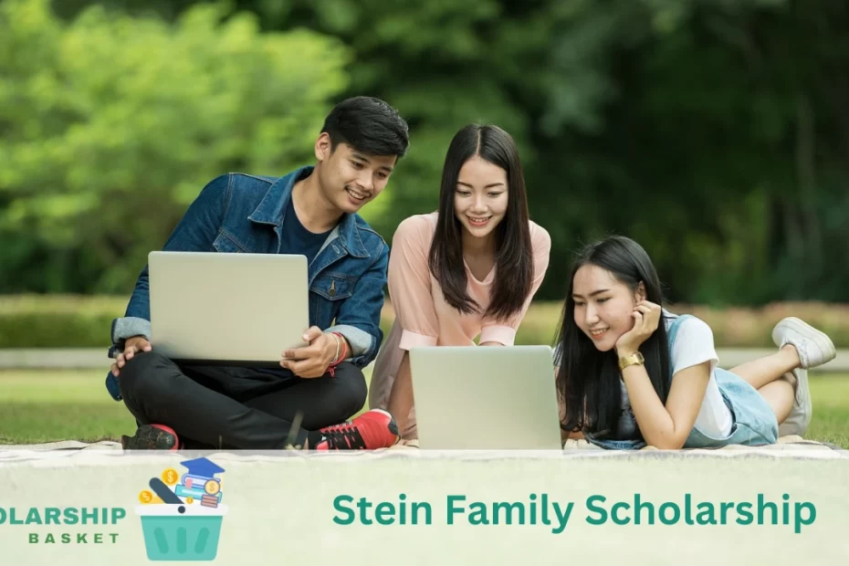 Stein Family Scholarship
