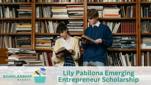 Lily Pabilona Emerging Entrepreneur Scholarship