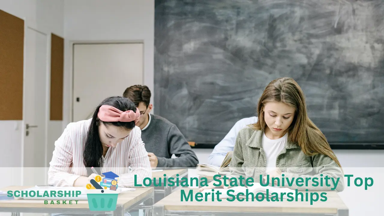 Louisiana State University Top Merit Scholarships ScholarshipBasket