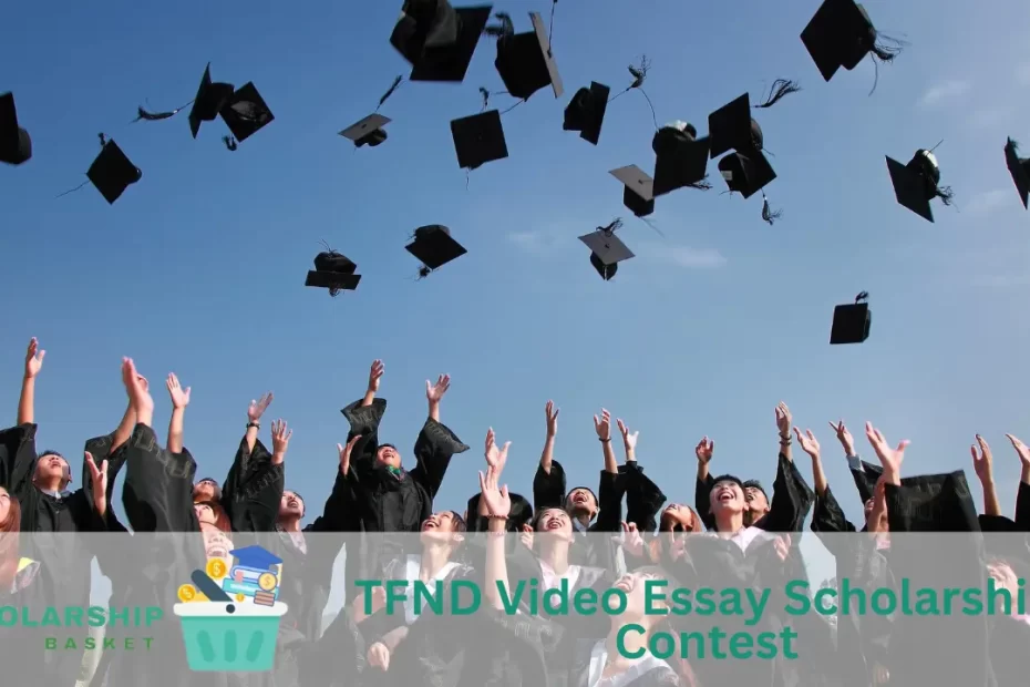 TFND Video Essay Scholarship Contest (1)