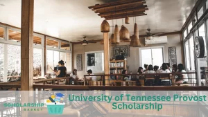 University-of-Tennessee-Provost-Scholarship (1)