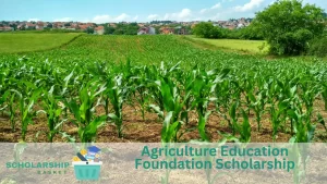 Agriculture Education Foundation Scholarship