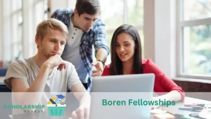 Boren Fellowships