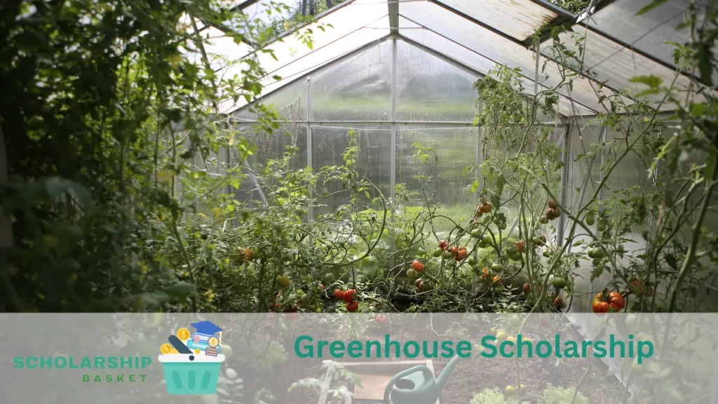 Greenhouse Scholarship
