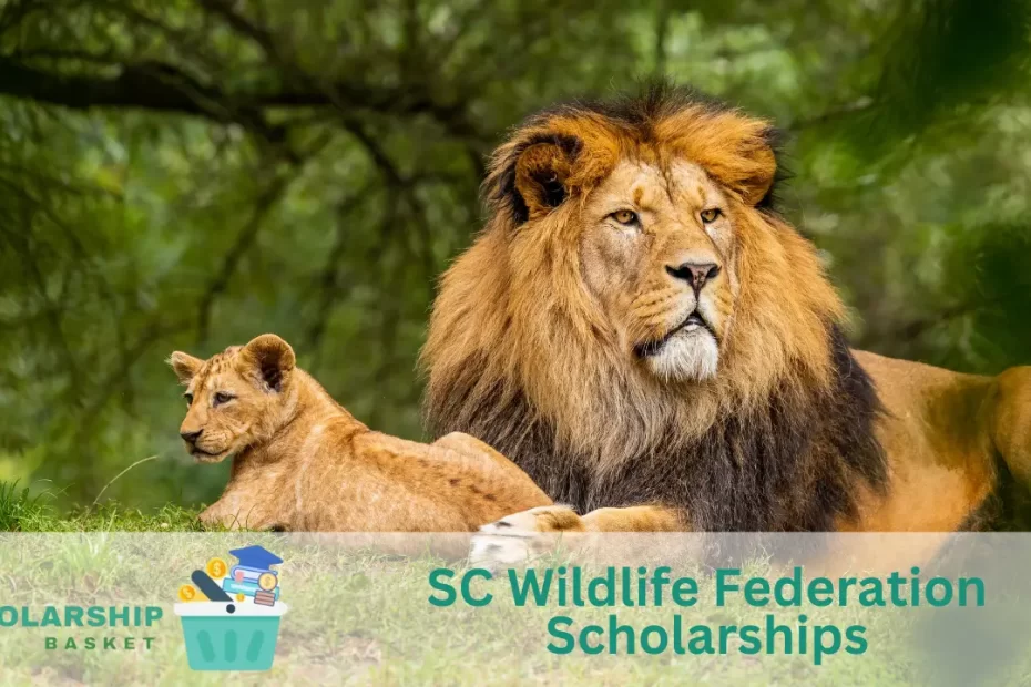 SC Wildlife Federation Scholarships