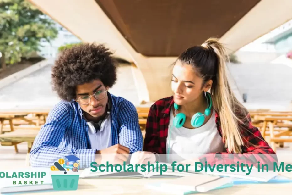 Scholarship for Diversity in Media