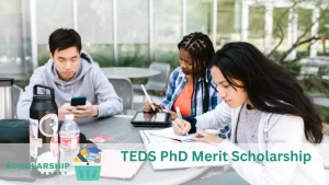 TEDS PhD Merit Scholarship