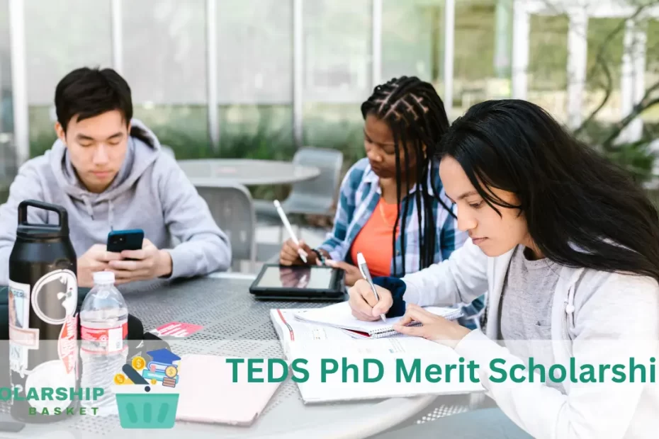 TEDS PhD Merit Scholarship