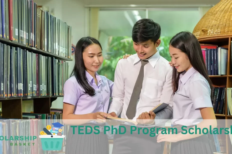 TEDS PhD Program Scholarship