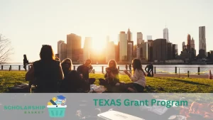 TEXAS Grant Program