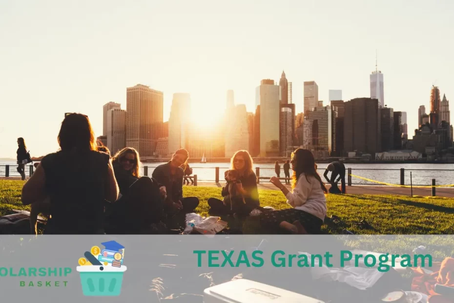 TEXAS Grant Program