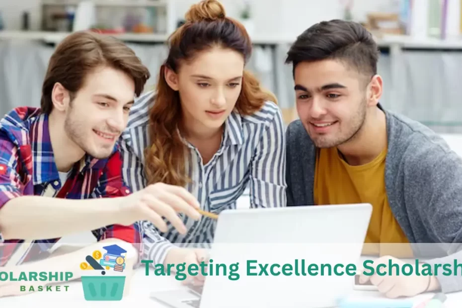 Targeting Excellence Scholarships