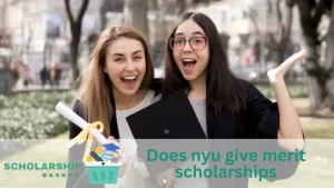 Does nyu give merit scholarships