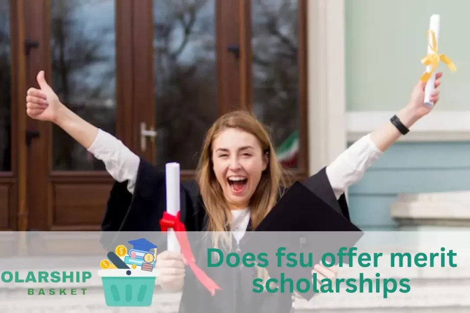 Does fsu offer merit scholarships