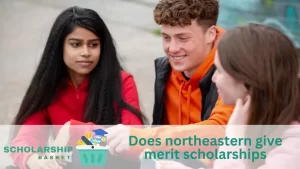 Does northeastern give merit scholarships