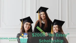 2000 No Essay Scholarships