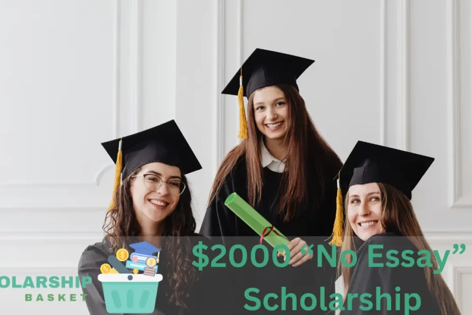 2000 No Essay Scholarships